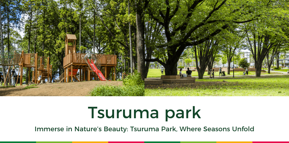 immerse in Nature's Beauty: Tsuruma park, Where Seasons Unfold