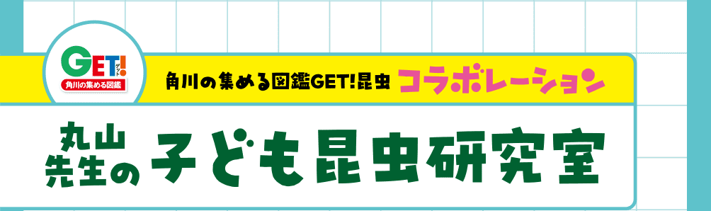 丸山先生の子ども昆虫研究室