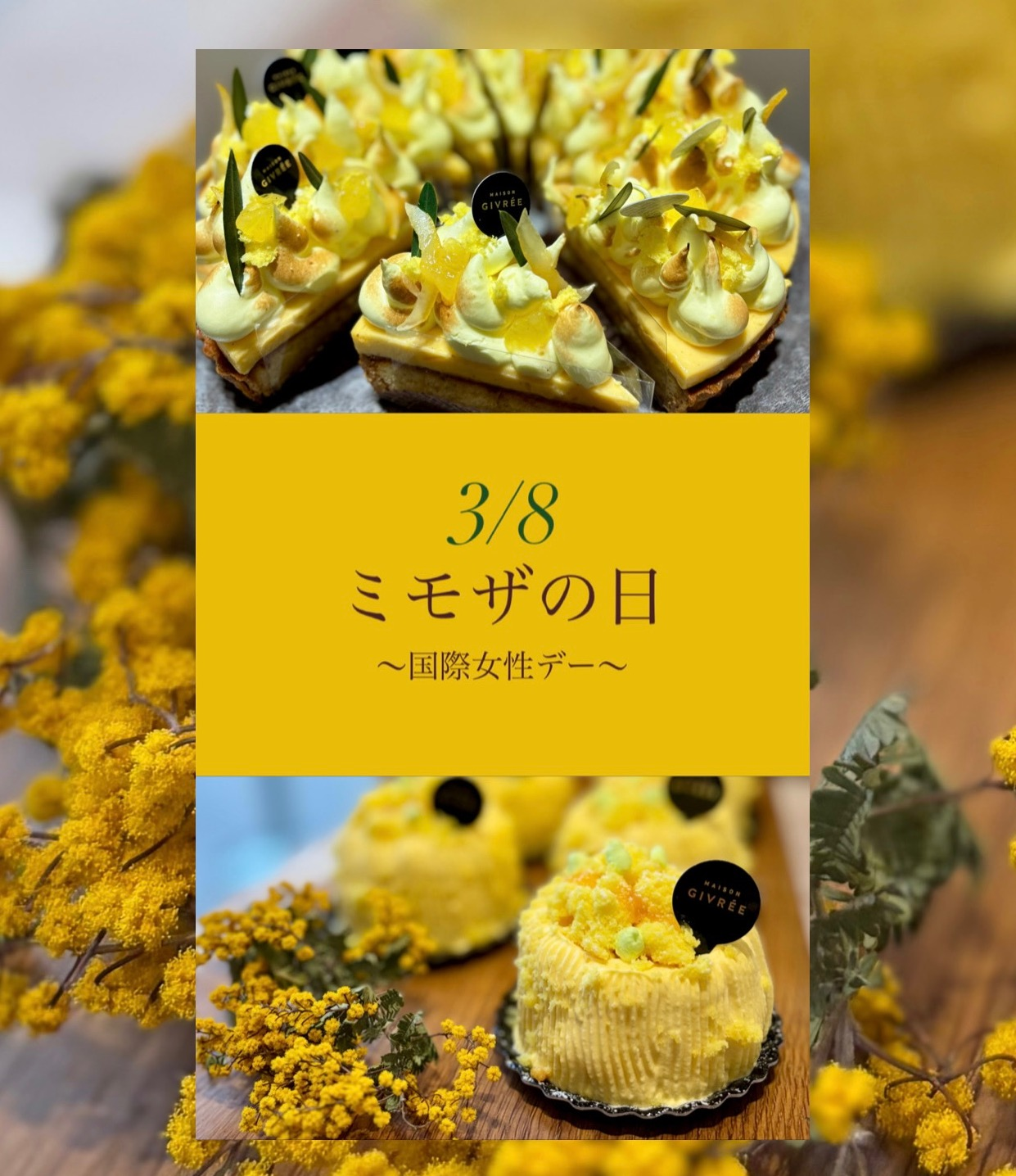 mimosa cake｜メゾンジブレー｜ショップトピックス｜グランベリーパーク