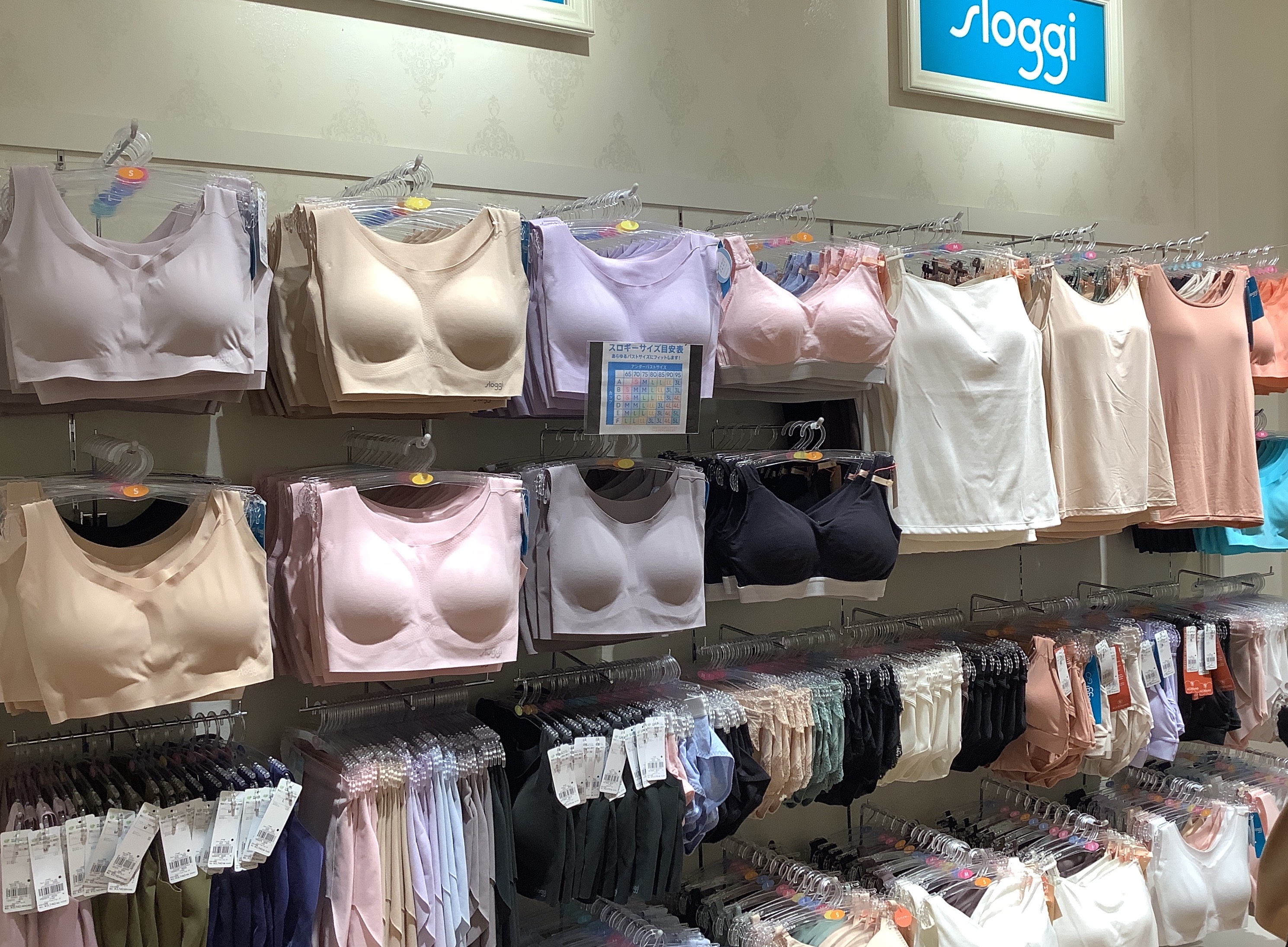 ☆ノンワイヤー多数ございます☆｜トリンプ｜ショップトピックス