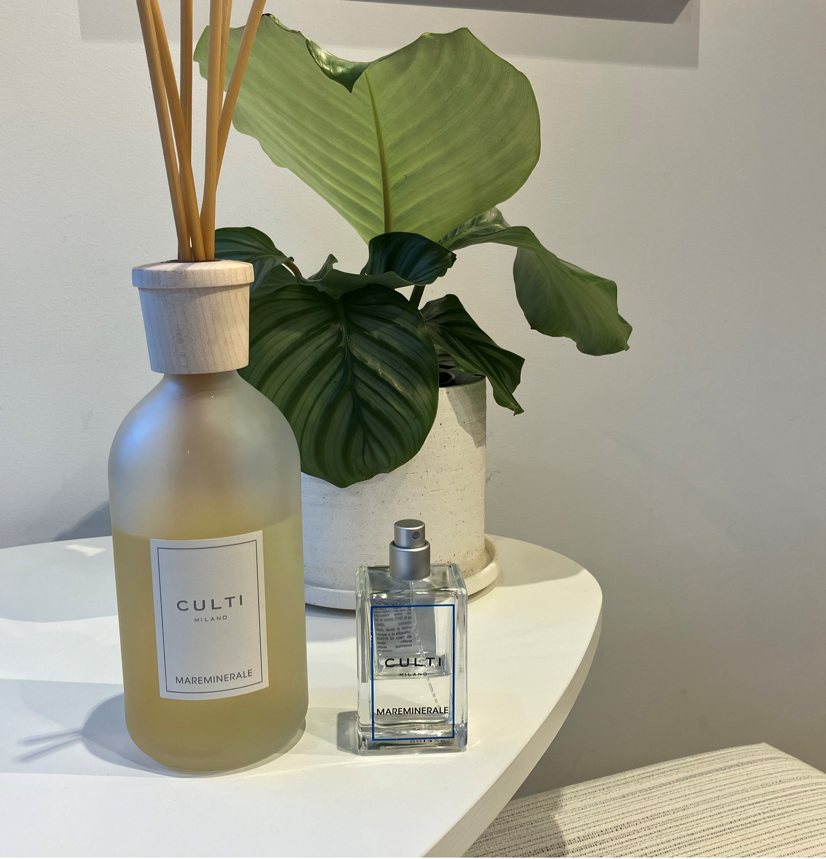 今月のCULTI【MAREMINERALE】｜アクタス｜ショップトピックス