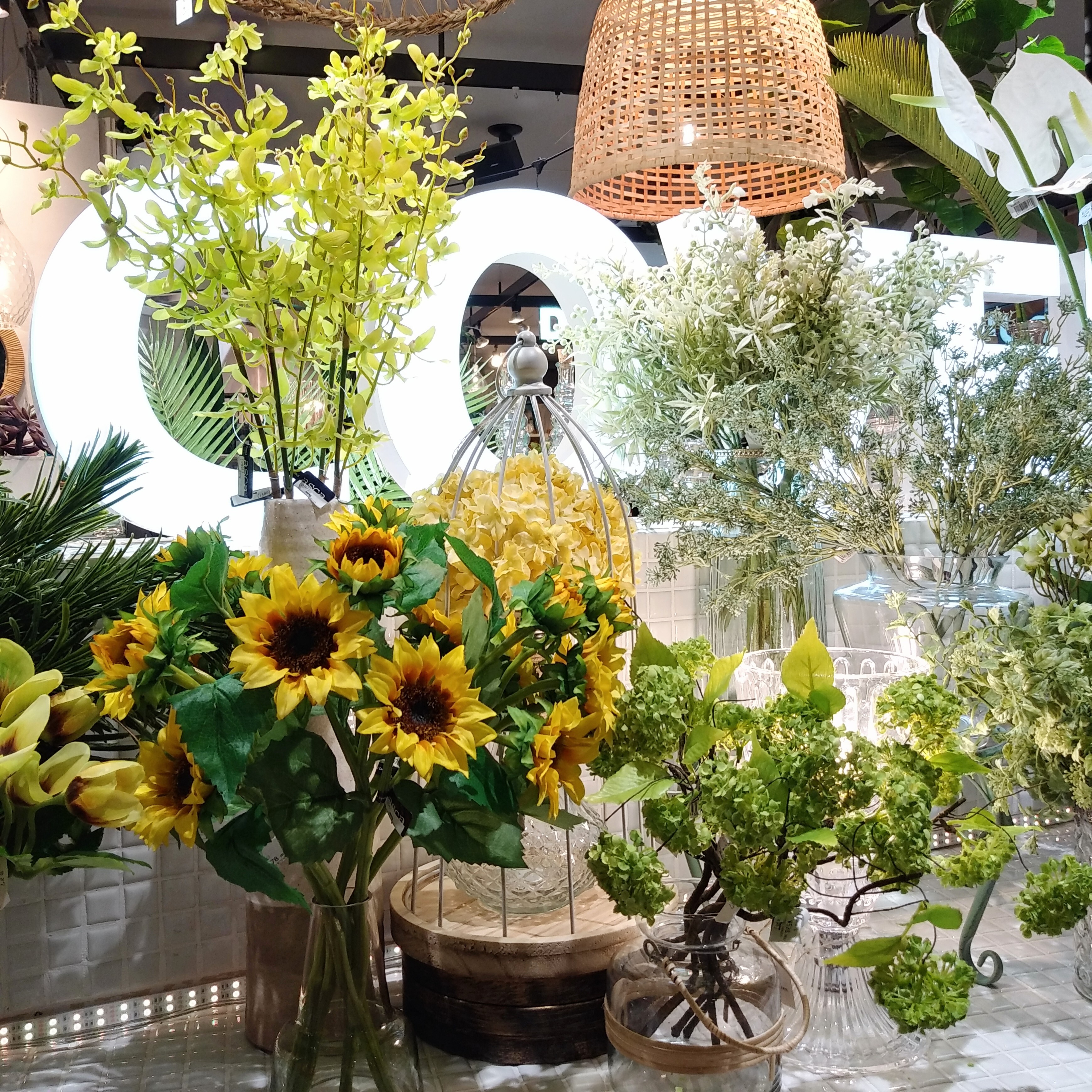 新商品入荷のお知らせ🌿｜コベントガーデンバザール｜ショップ