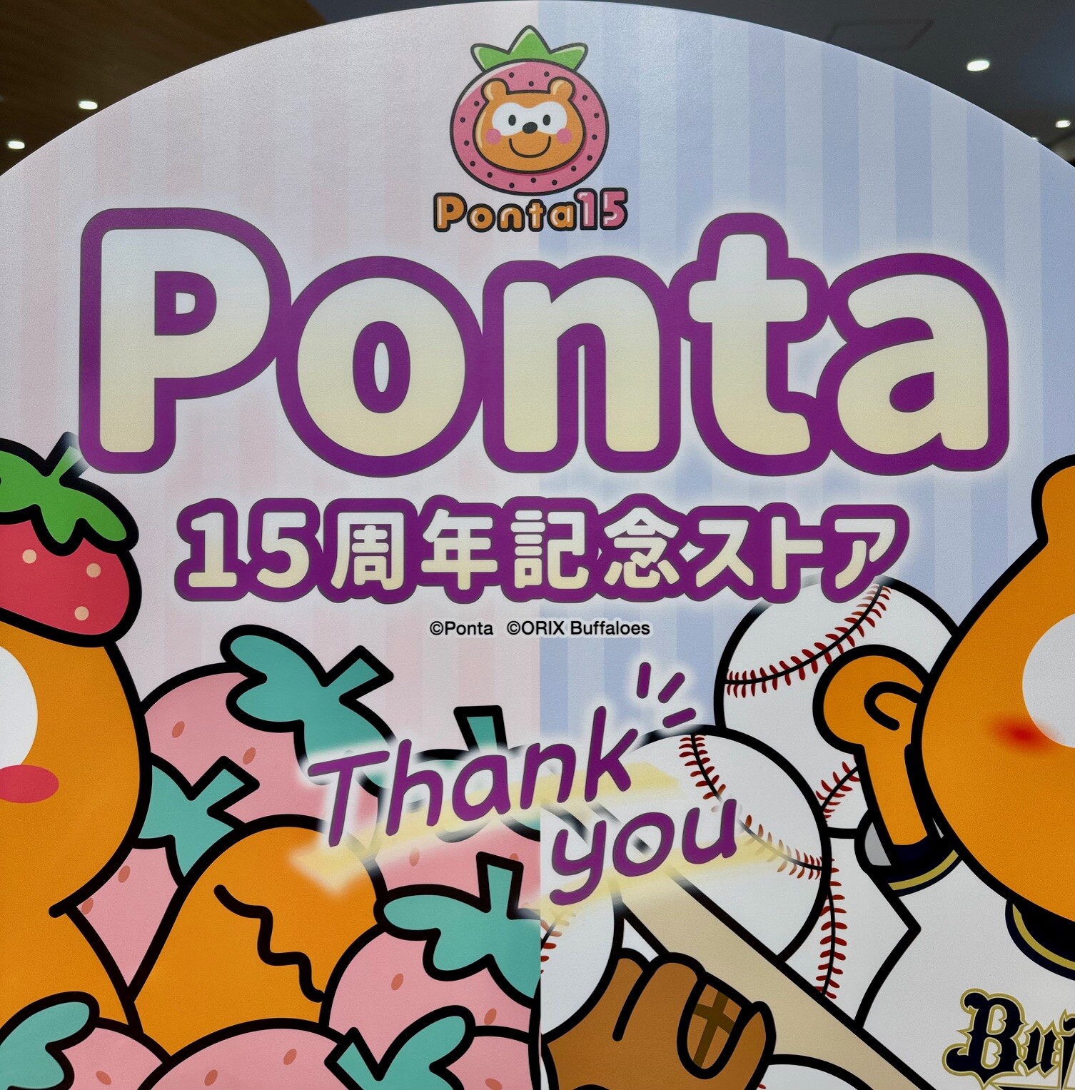 日向坂46 Pontaカード(C)＋オリジナルポーチ(C) : 日向坂46