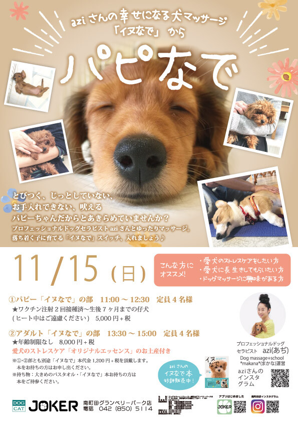 幸せになる愛犬のマッサージ教室 ドッグ キャットジョーカー ショップトピックス グランベリーパーク 幸せになる愛犬のマッサージ教室 ドッグ キャットジョーカー ショップトピックス グランベリーパーク