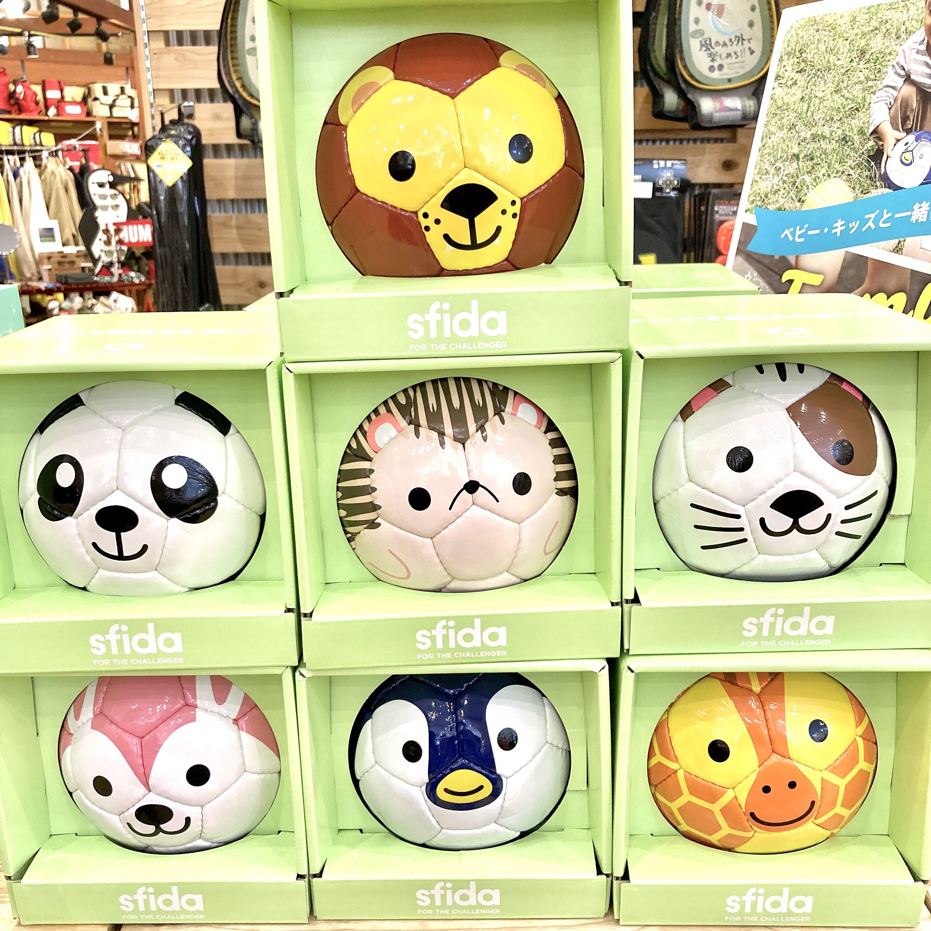 に*う様 A 33超特選株！超まん丸ボール型 ミニグラ 手乗り