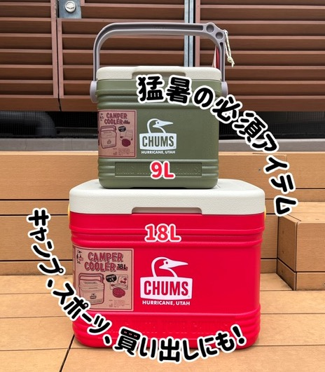 暑い夏必須アイテム🍉POPでかわいいクーラーボックス｜グリーン