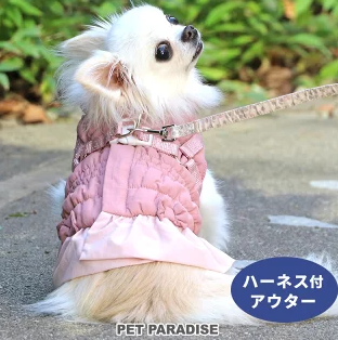 新商品のご案内｜ペットパラダイス｜ショップトピックス｜グランベリー