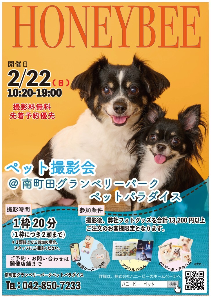 ベッド 写真はイメージです。 📷2/22(日)開催📷ペット撮影会のお知らせ｜ペットパラダイス｜ショップ