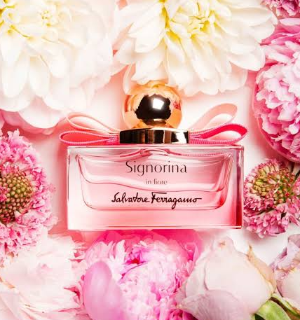 🌸桜がモチーフ🌸シニョリーナインフィオーレ🤍｜パフューマジック