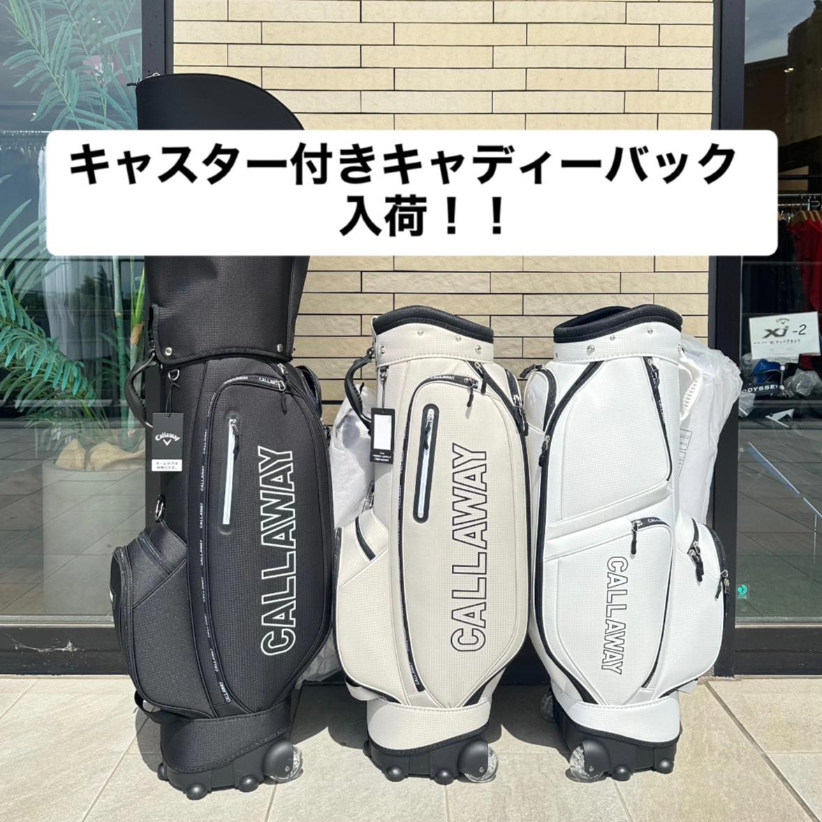 スマートに持ち運べる！キャスター付きキャディーバッグ入荷