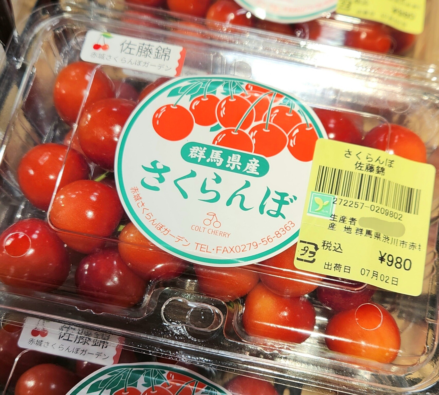 7月2日のおすすめ！さくらんぼ2種🍒『佐藤錦』『紅秀峰』｜ファーム