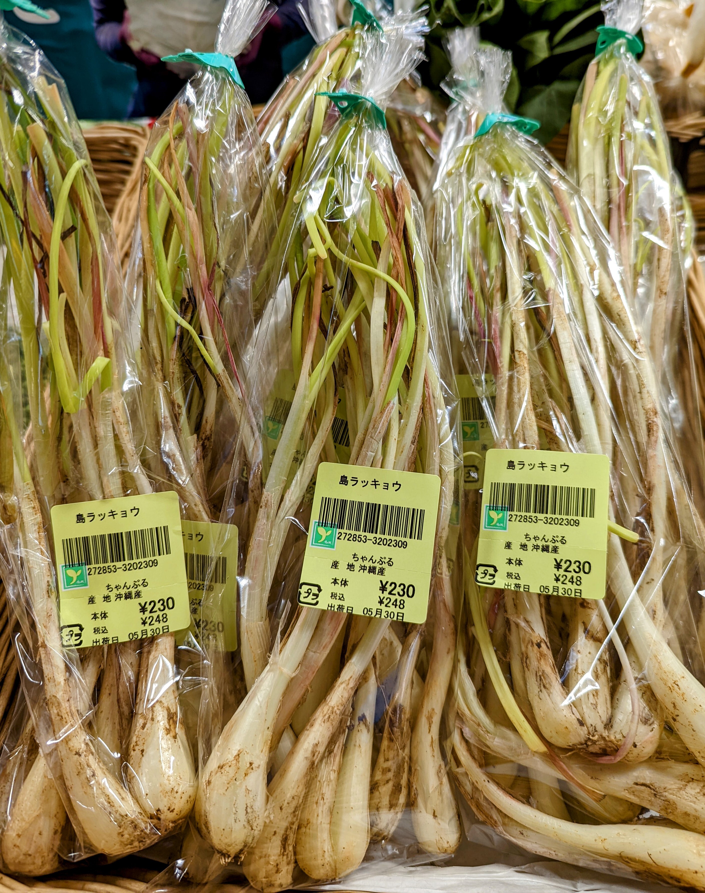 5月30日のおすすめ 沖縄県産 島ラッキョウ ファームドゥ 食の駅 ショップトピックス グランベリーパーク