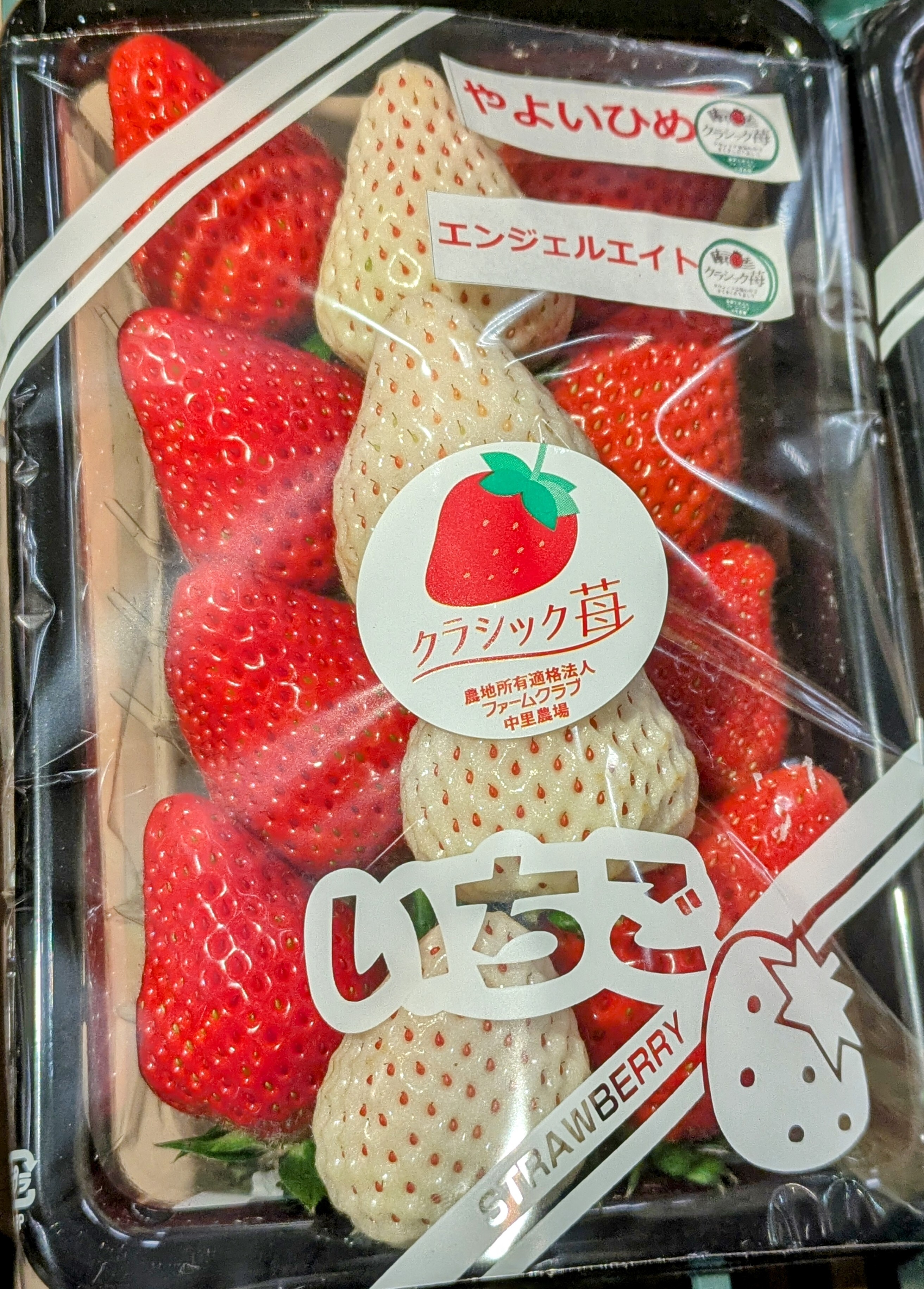4月29日のおすすめ！自社農園産 いちご『やよいひめ』と