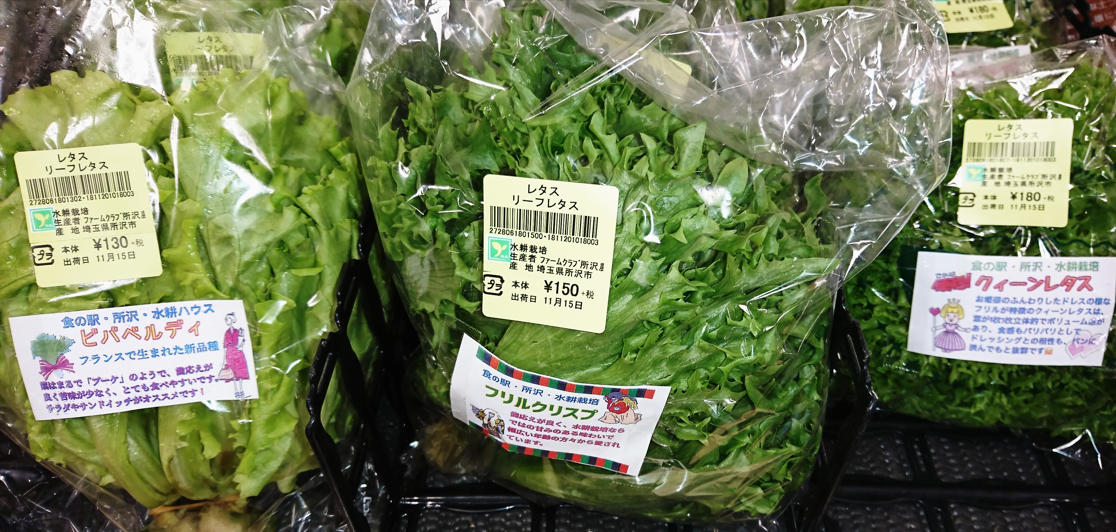11月16日のおすすめ！『フリルレタス』｜ファームドゥ 食の駅｜ショップトピックス｜グランベリーパーク