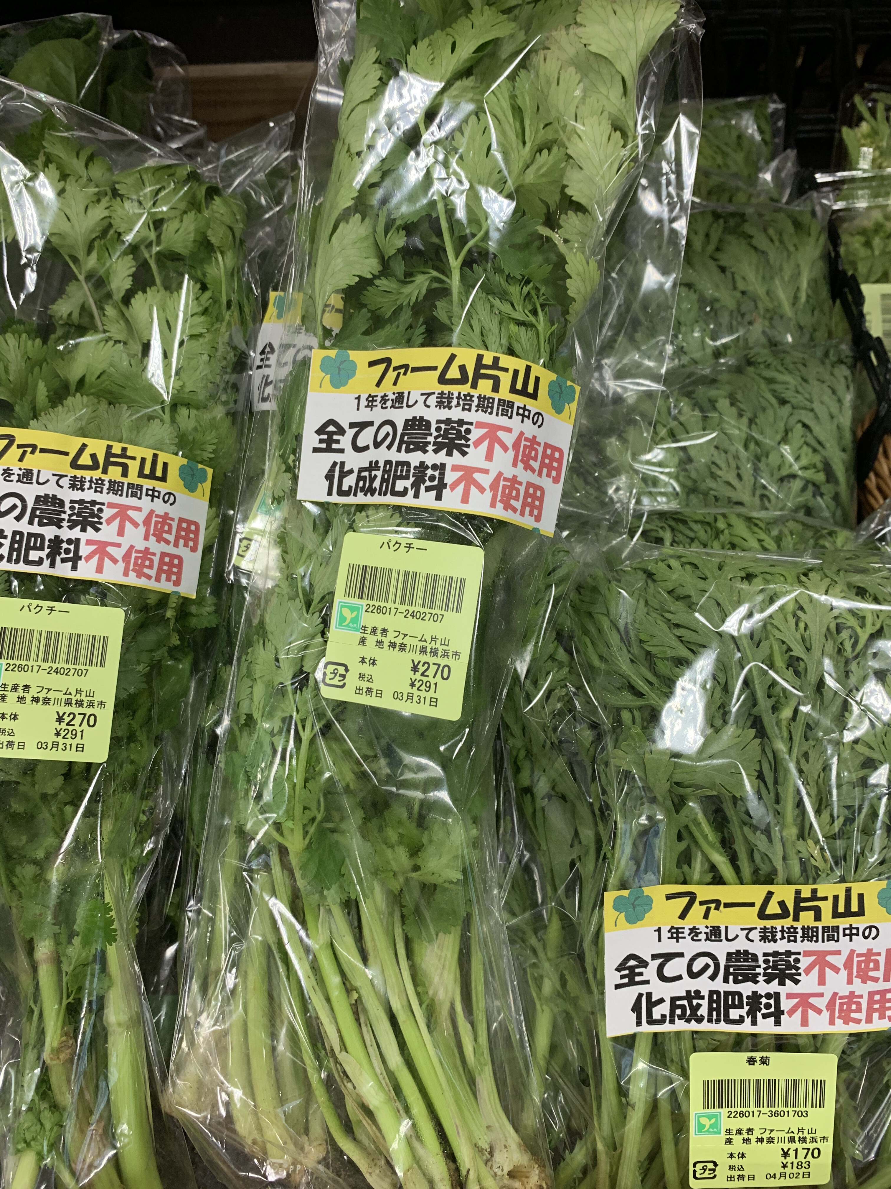 4月2日のおすすめ パクチー ファームドゥ 食の駅 ショップトピックス グランベリーパーク 4月2日のおすすめ パクチー ファームドゥ 食の駅 ショップトピックス グランベリーパーク
