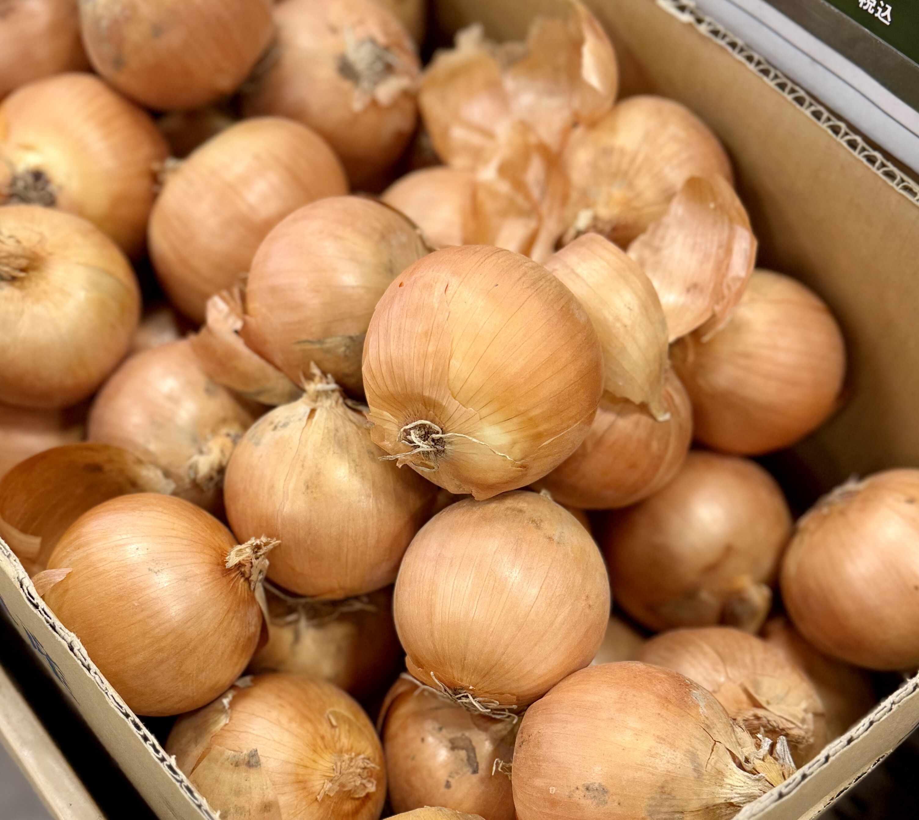 2月16日のおすすめ！北海道産『たまねぎ』と『にんじん』｜ファーム