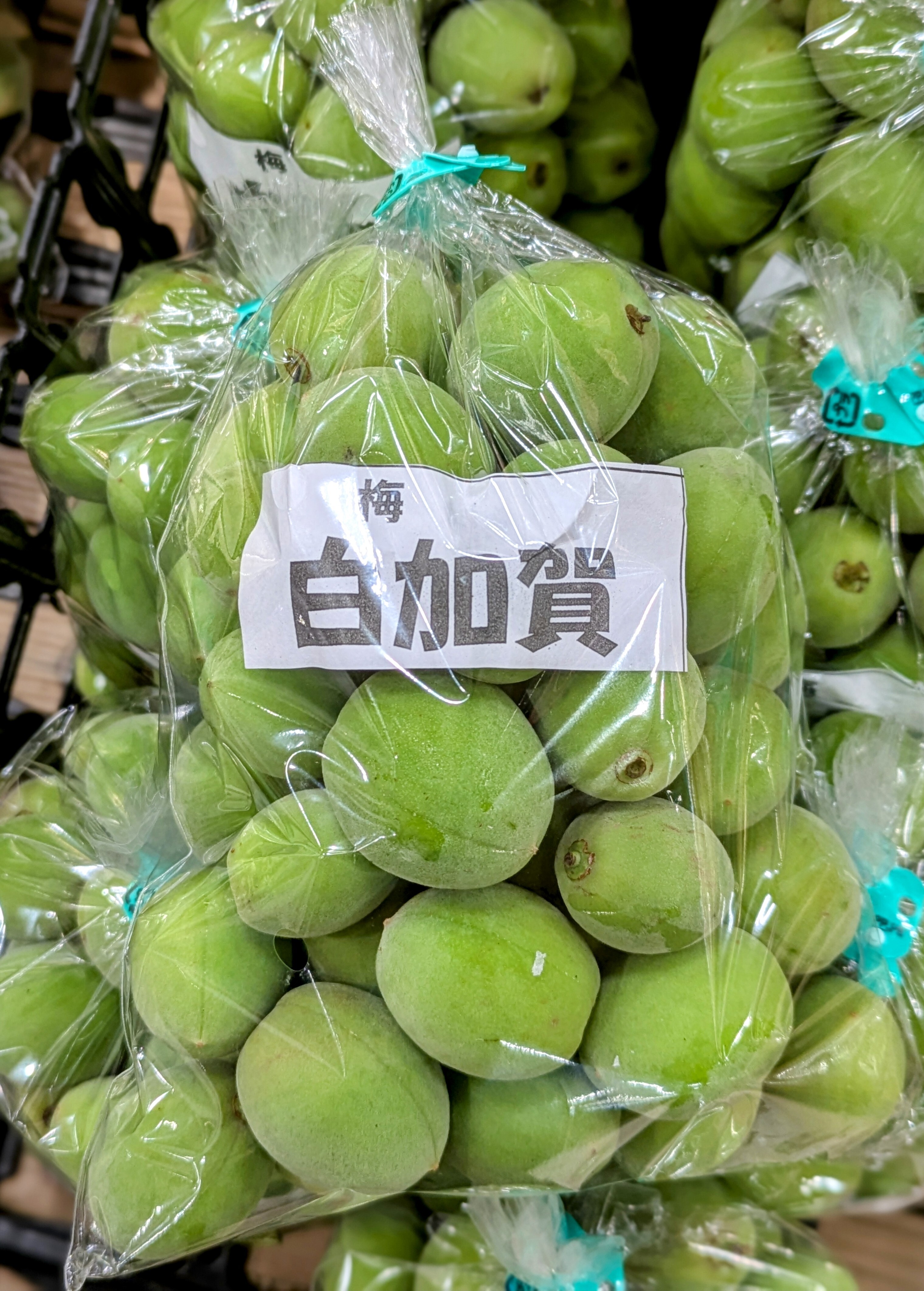 5月26日のおすすめ！梅『白加賀』｜ファームドゥ 食の駅