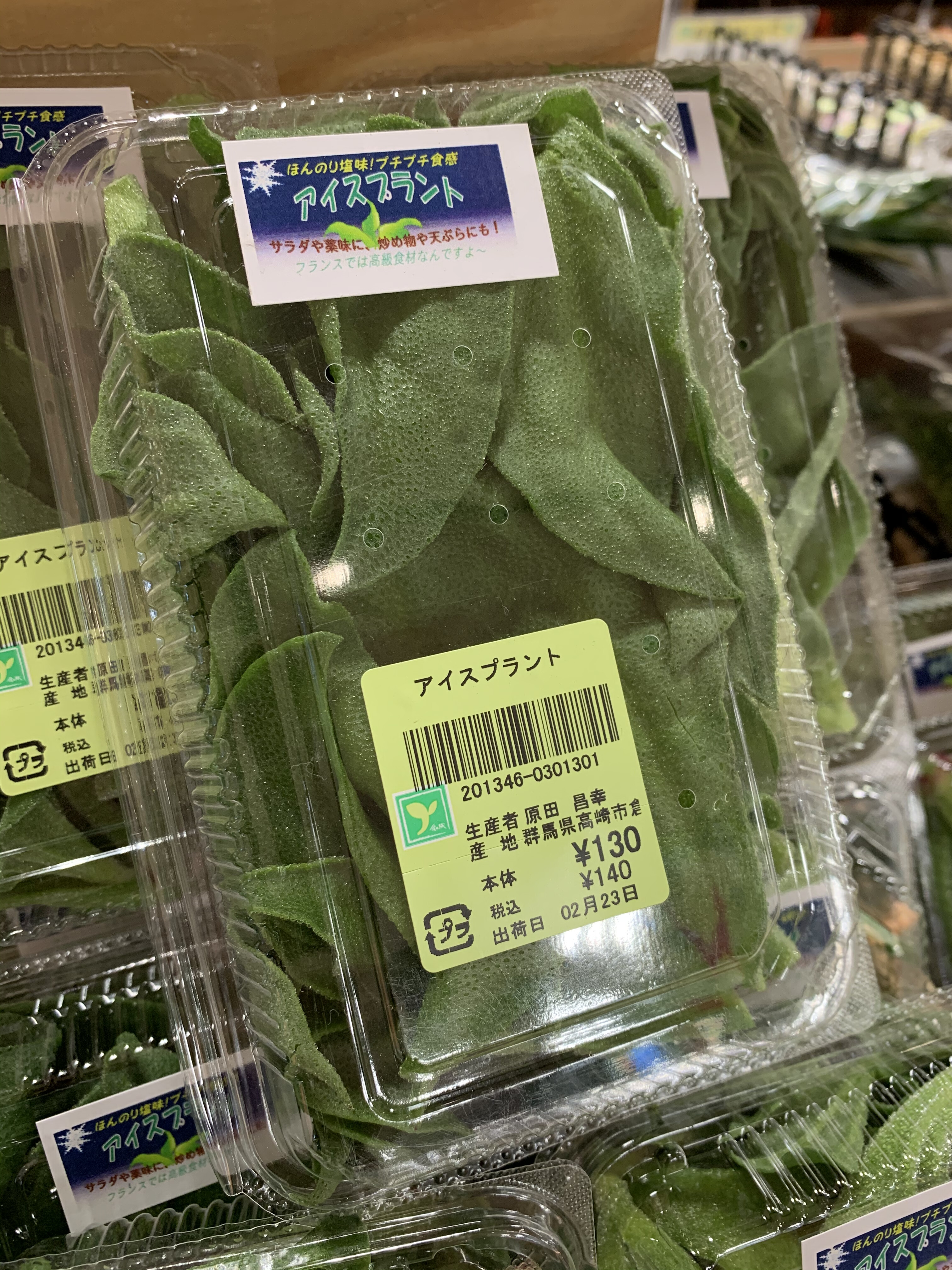 2月23日のおすすめ アイスプラント ファームドゥ 食の駅 ショップトピックス グランベリーパーク