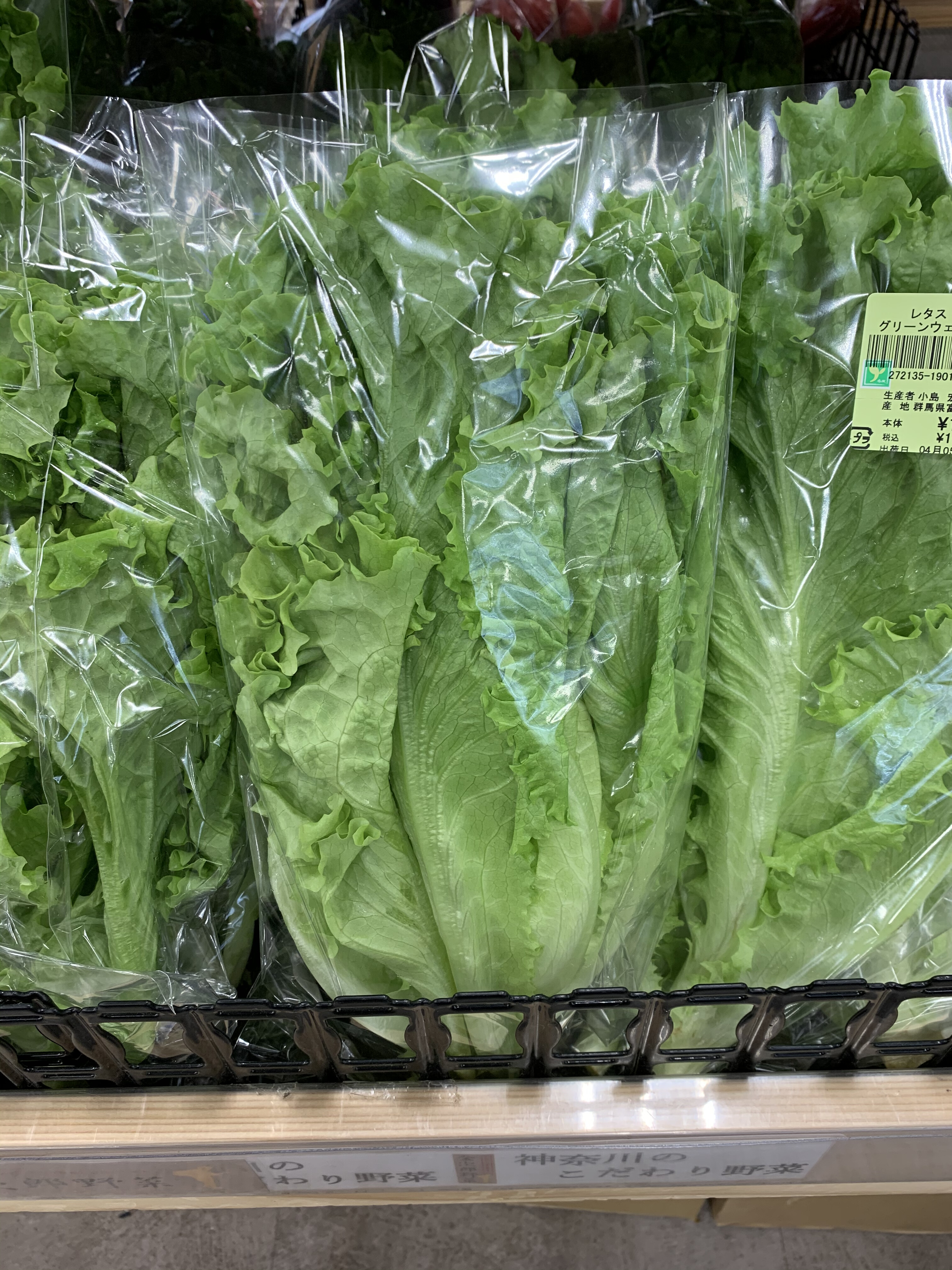 4月5日のおすすめ グリーンウェーブ ファームドゥ 食の駅 ショップトピックス グランベリーパーク