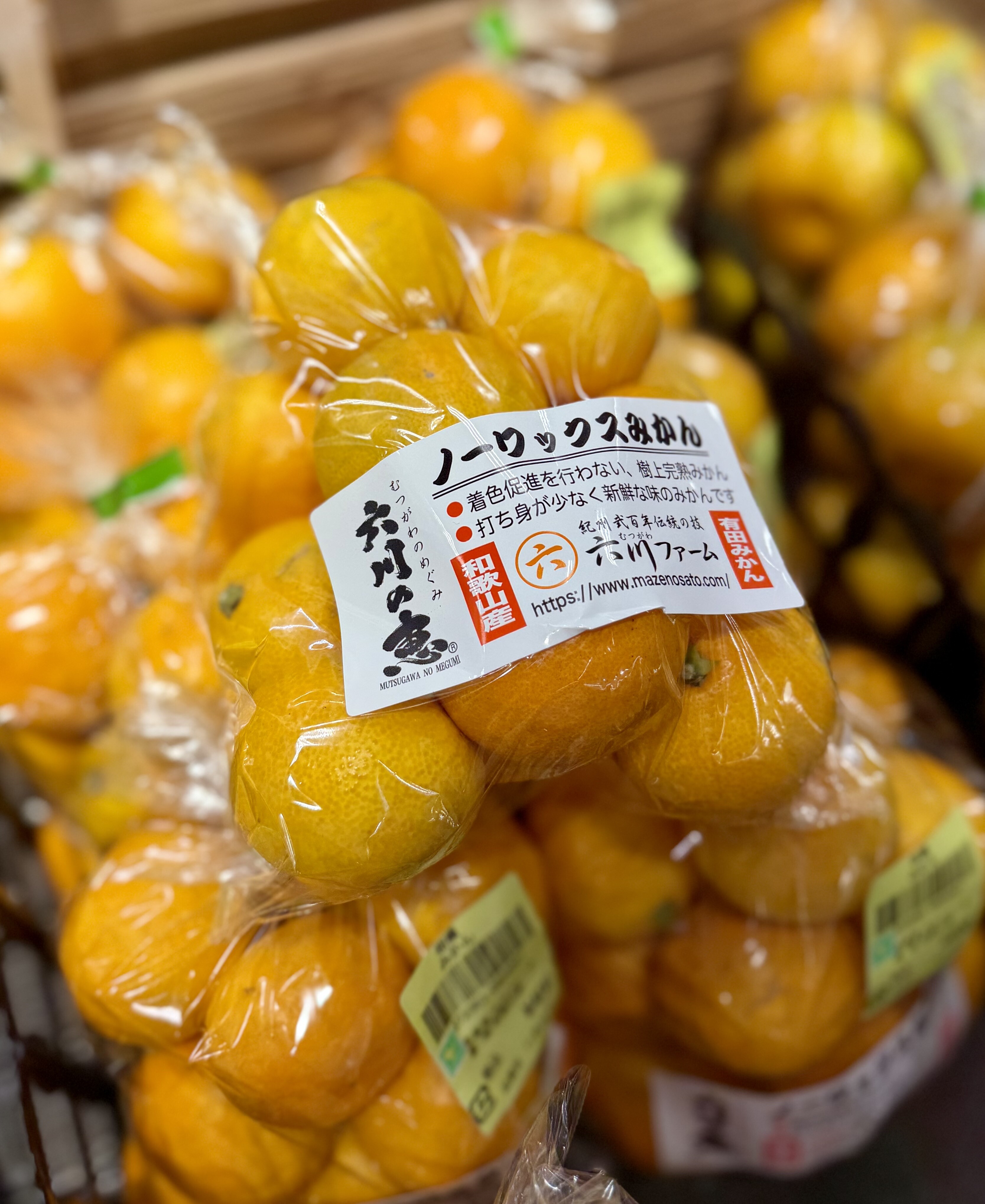 11月2日のおすすめ！『有田みかん』｜ファームドゥ 食の駅｜ショップ