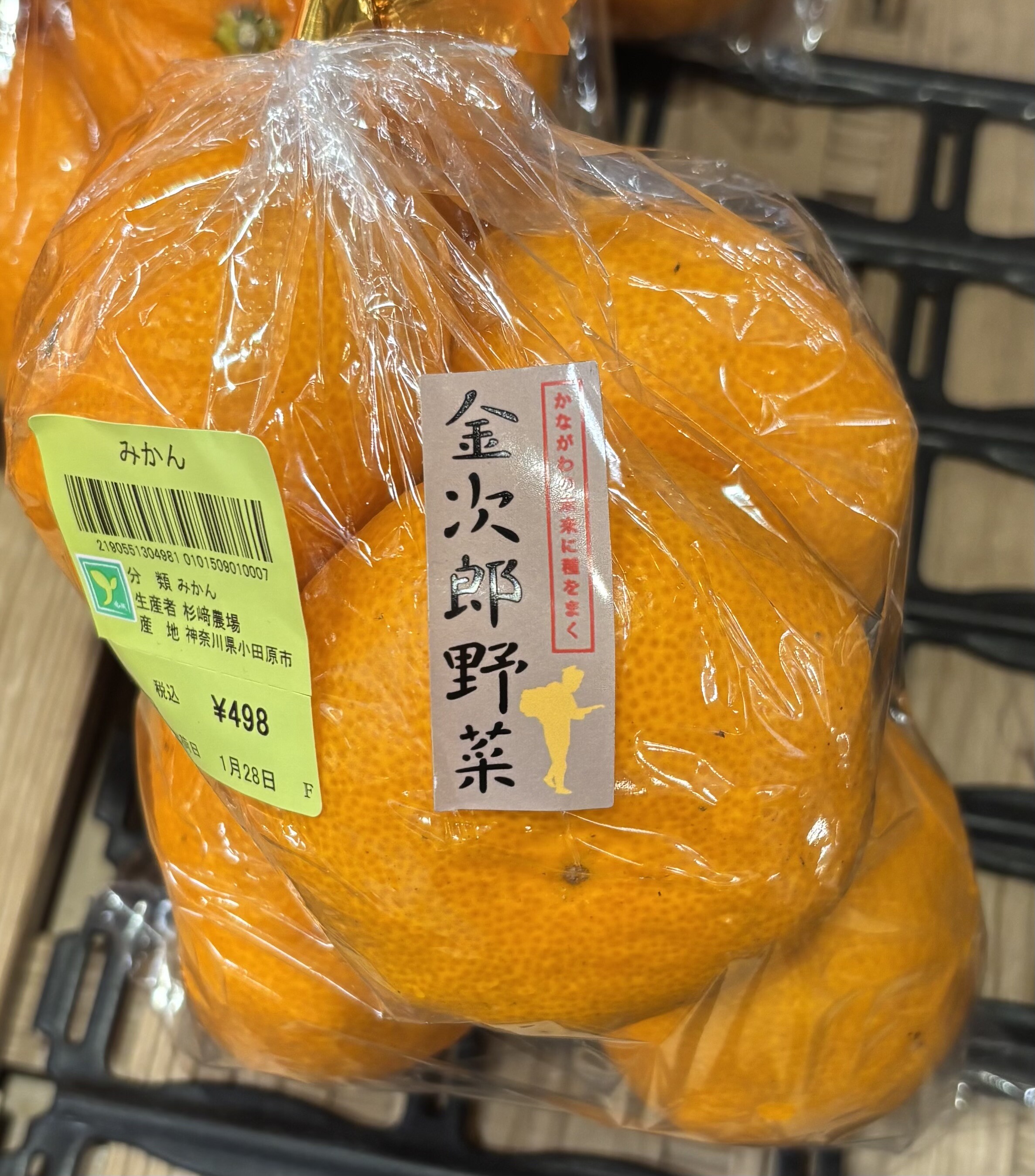 1月31日のおすすめ！『みかん』｜ファームドゥ 食の駅｜ショップ