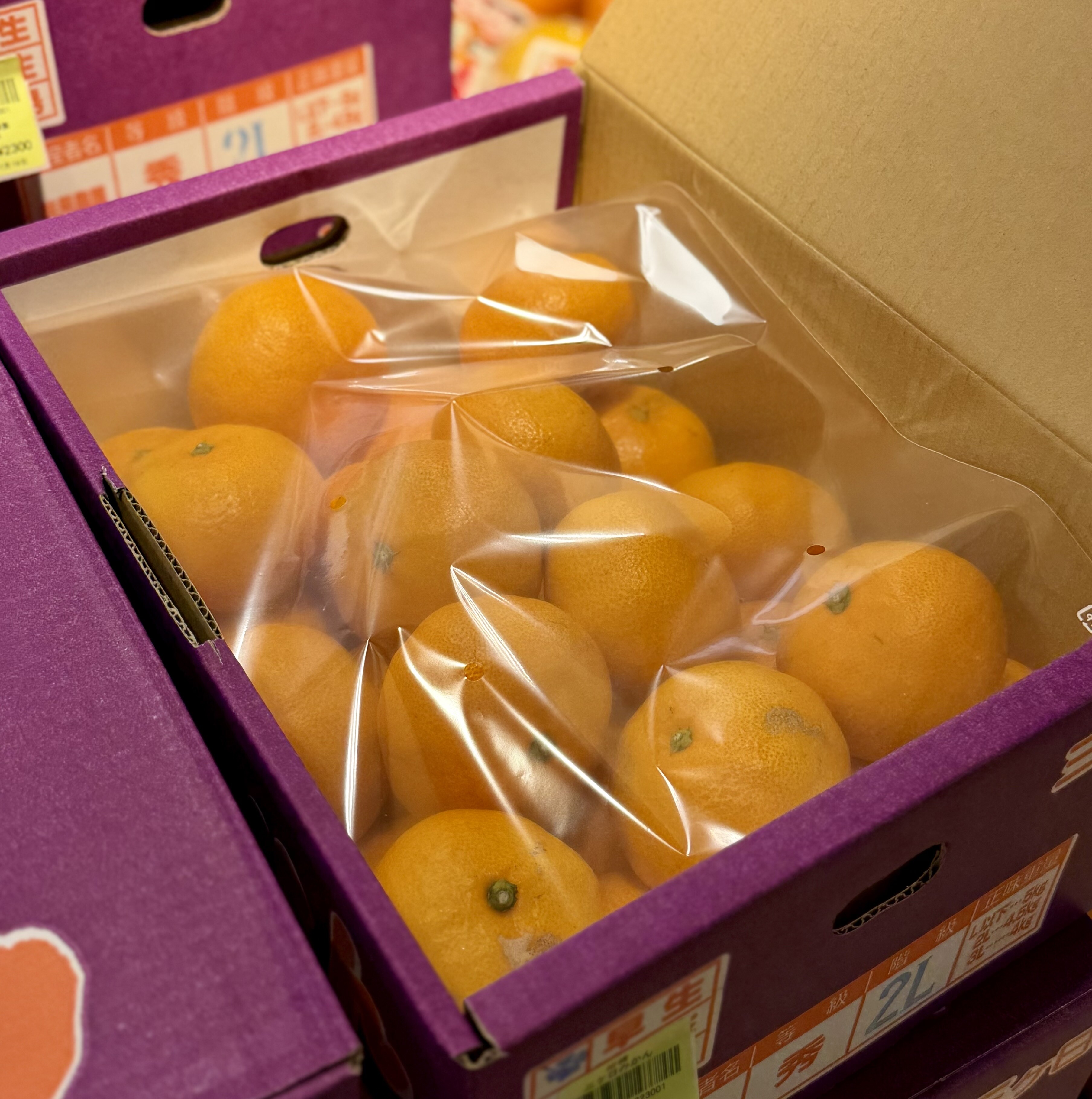 11月19日のおすすめ！箱入り『三ケ日みかん』｜ファームドゥ 食の駅