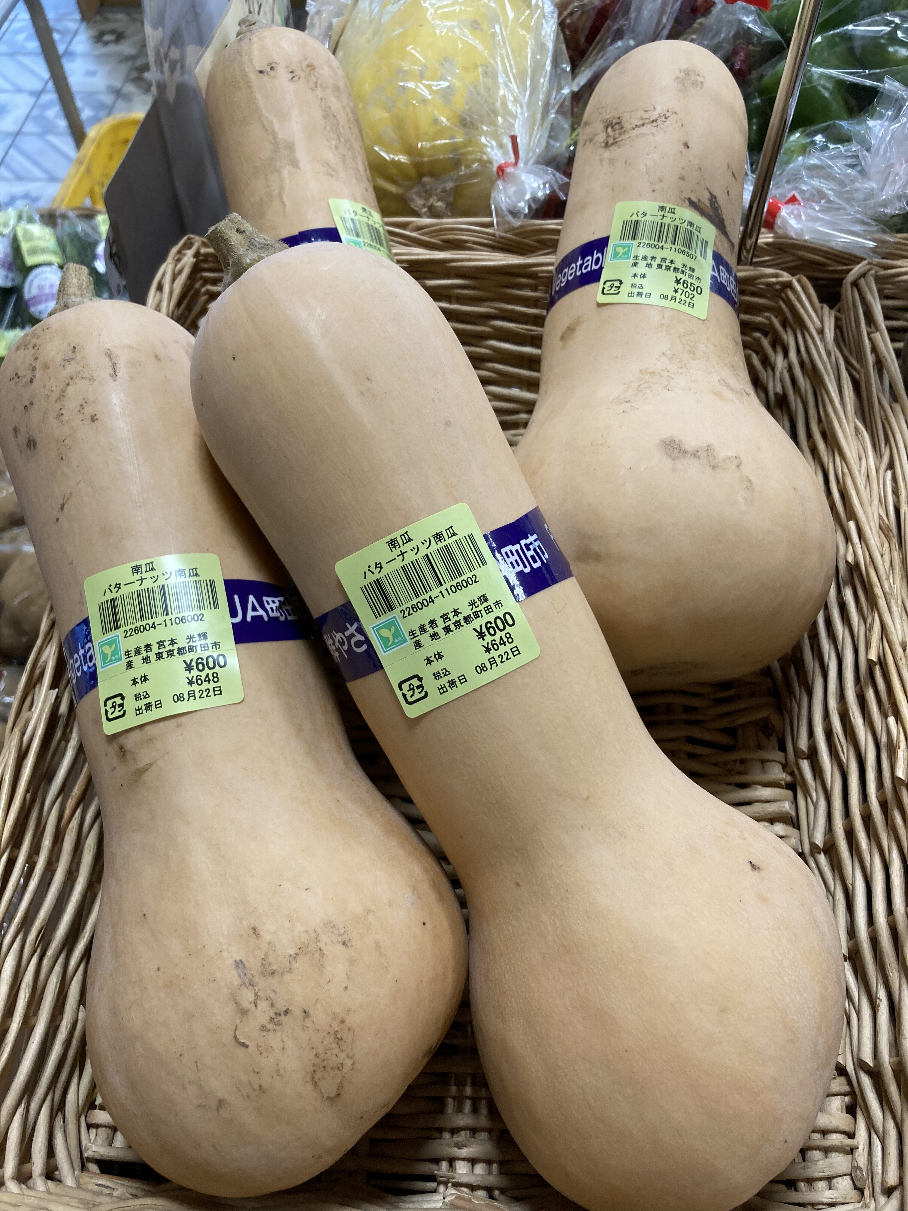 在庫僅少】 バターナッツカボチャ2kg