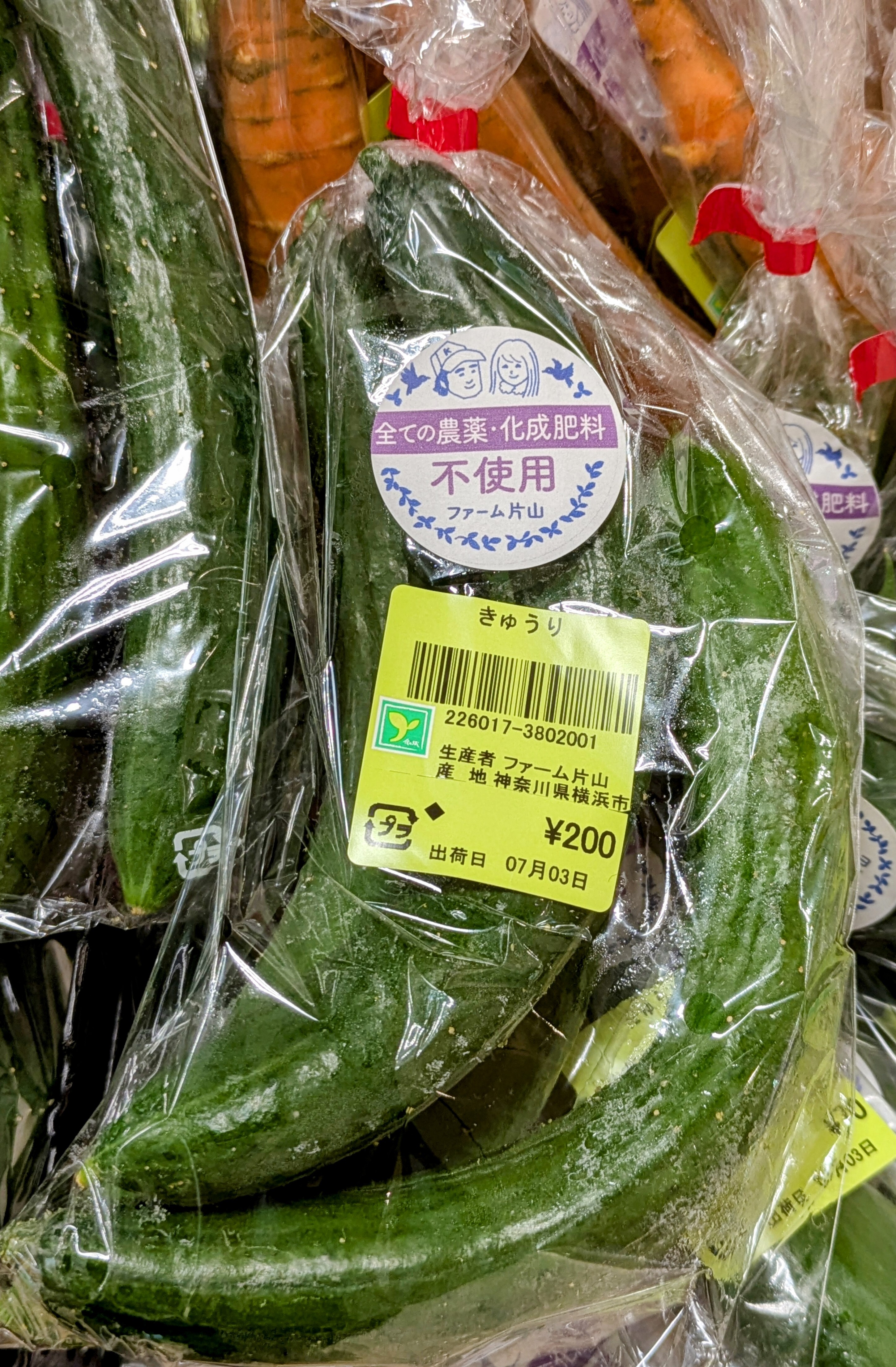 ファームさん きゅうり B級品 20キロ B級品 きゅうり 20キロ ファーム専用 - Vegetables高 品質