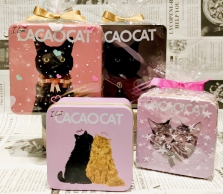大人 可愛い 服  🐈‍⬛💗CACAOCATバレンタインパッケージ入荷しました‼️｜PX ぬいぐるみ
