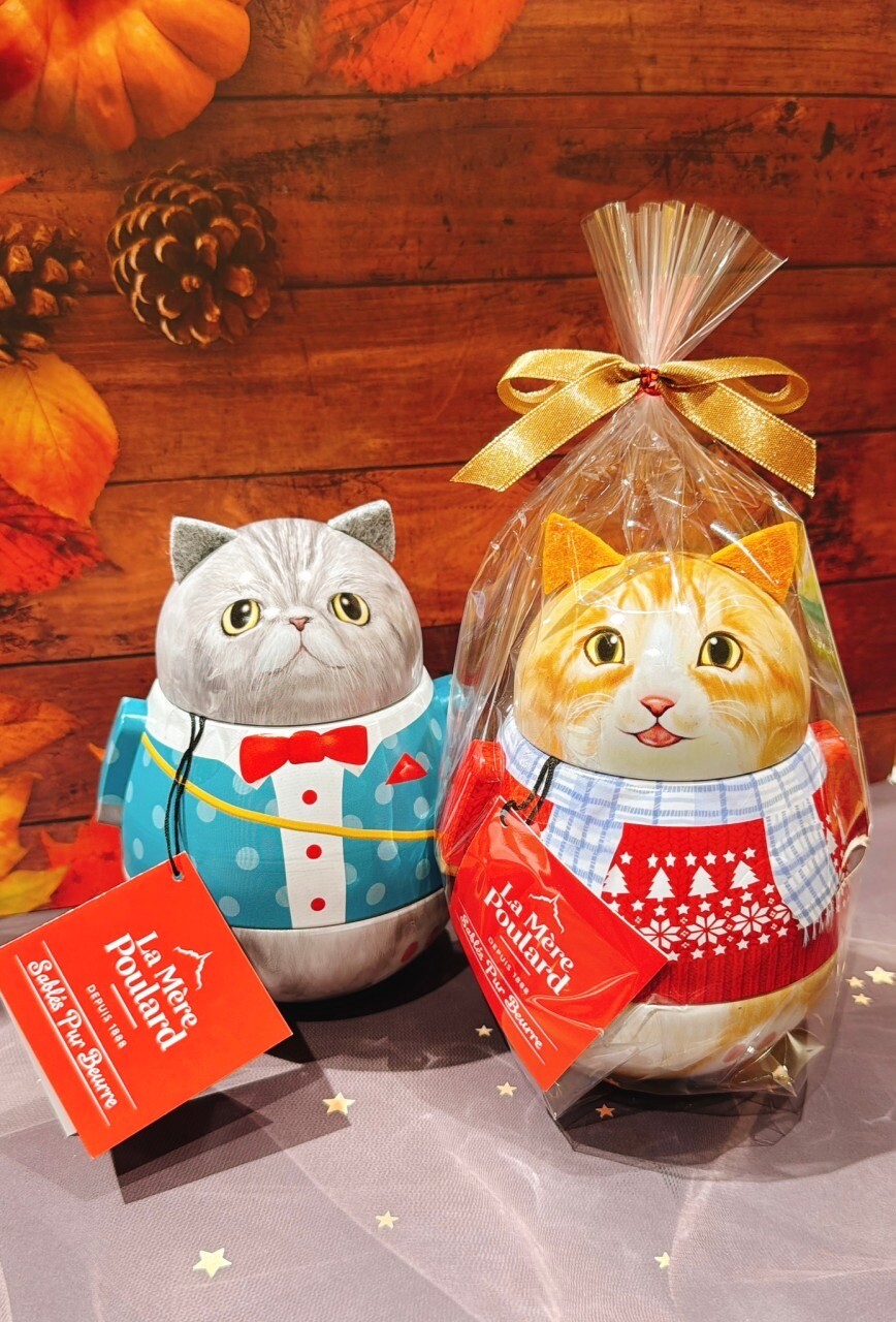【新作入荷!!】  2/22は猫の日 🐈🐾｜PXストア｜ショップトピックス｜グラン その他