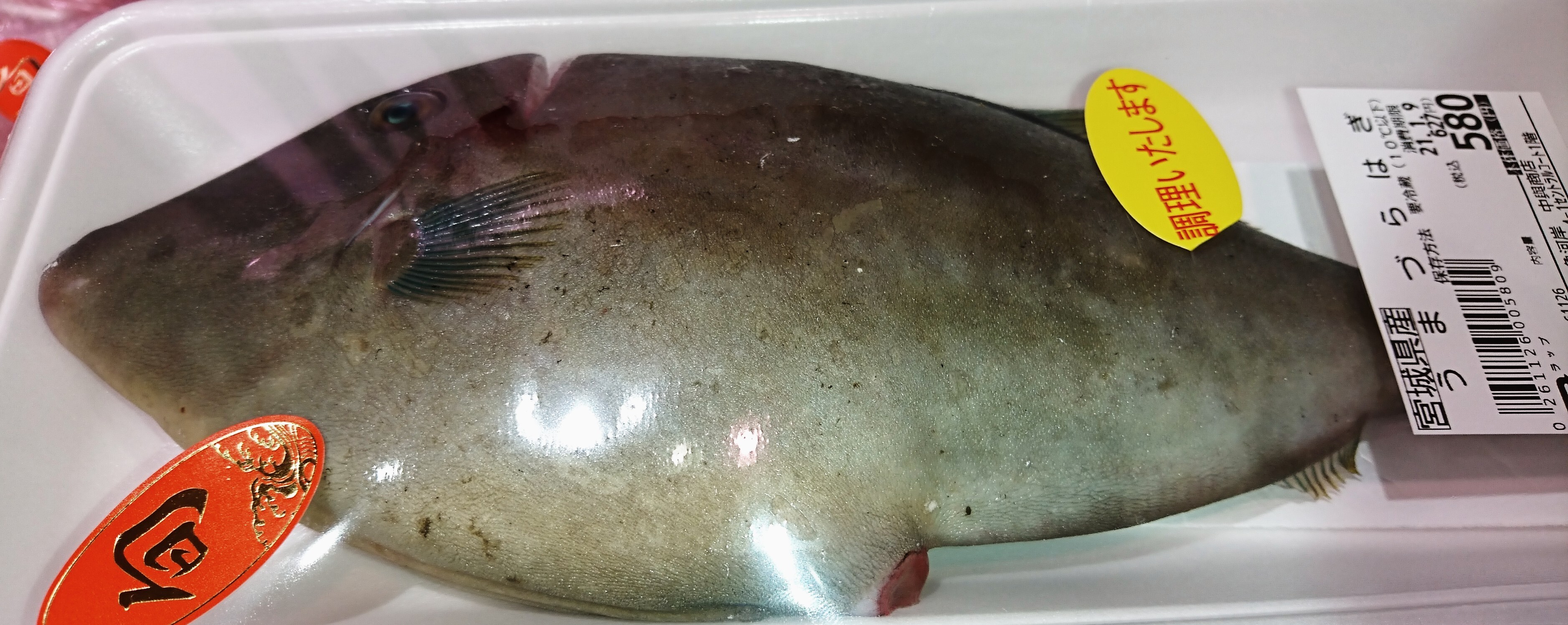 1月7日のおすすめ うまづらはぎ 魚河岸 中與商店 ショップトピックス グランベリーパーク