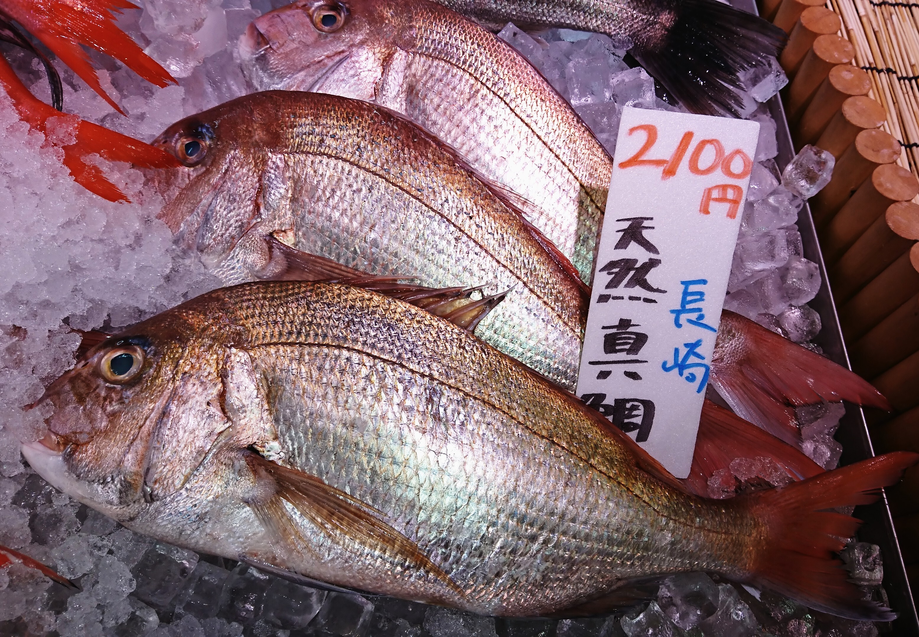 11月12日のおすすめ 天然真鯛 魚河岸 中與商店 ショップトピックス グランベリーパーク