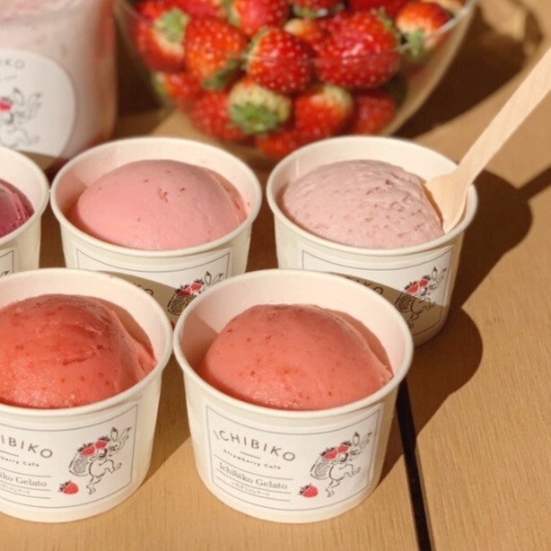 南町田店 限定❕ 】いちごのジェラート🍨🤎｜いちびこ｜ショップ