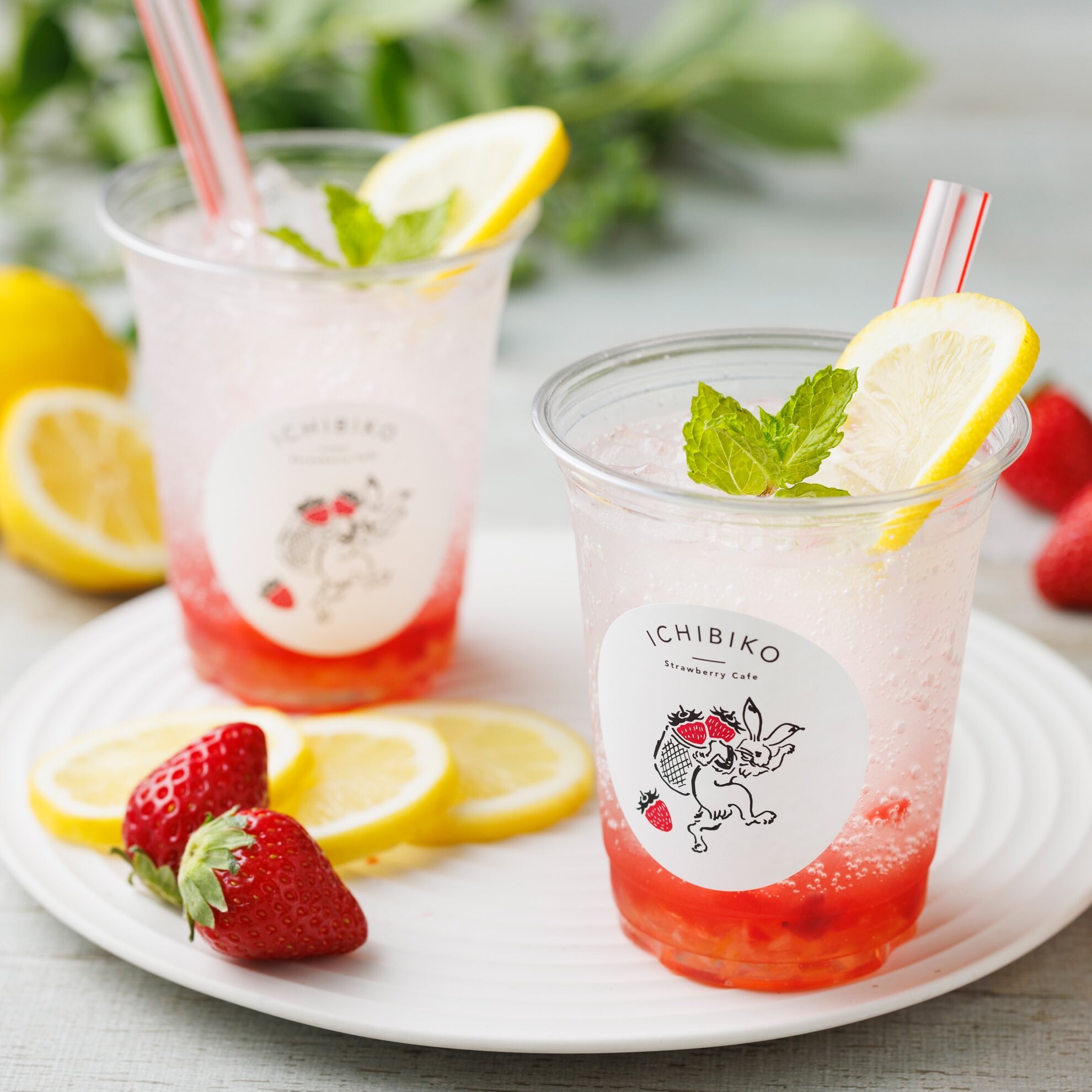 いちごレモン いちごのレモネードソーダ🍋🌟｜いちびこ｜ショップトピックス｜グラン