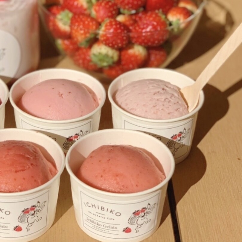ピク　イマン　クラッシックイチゴ 南町田店 限定❕ 】いちごジェラート🍨💖｜いちびこ｜ショップ