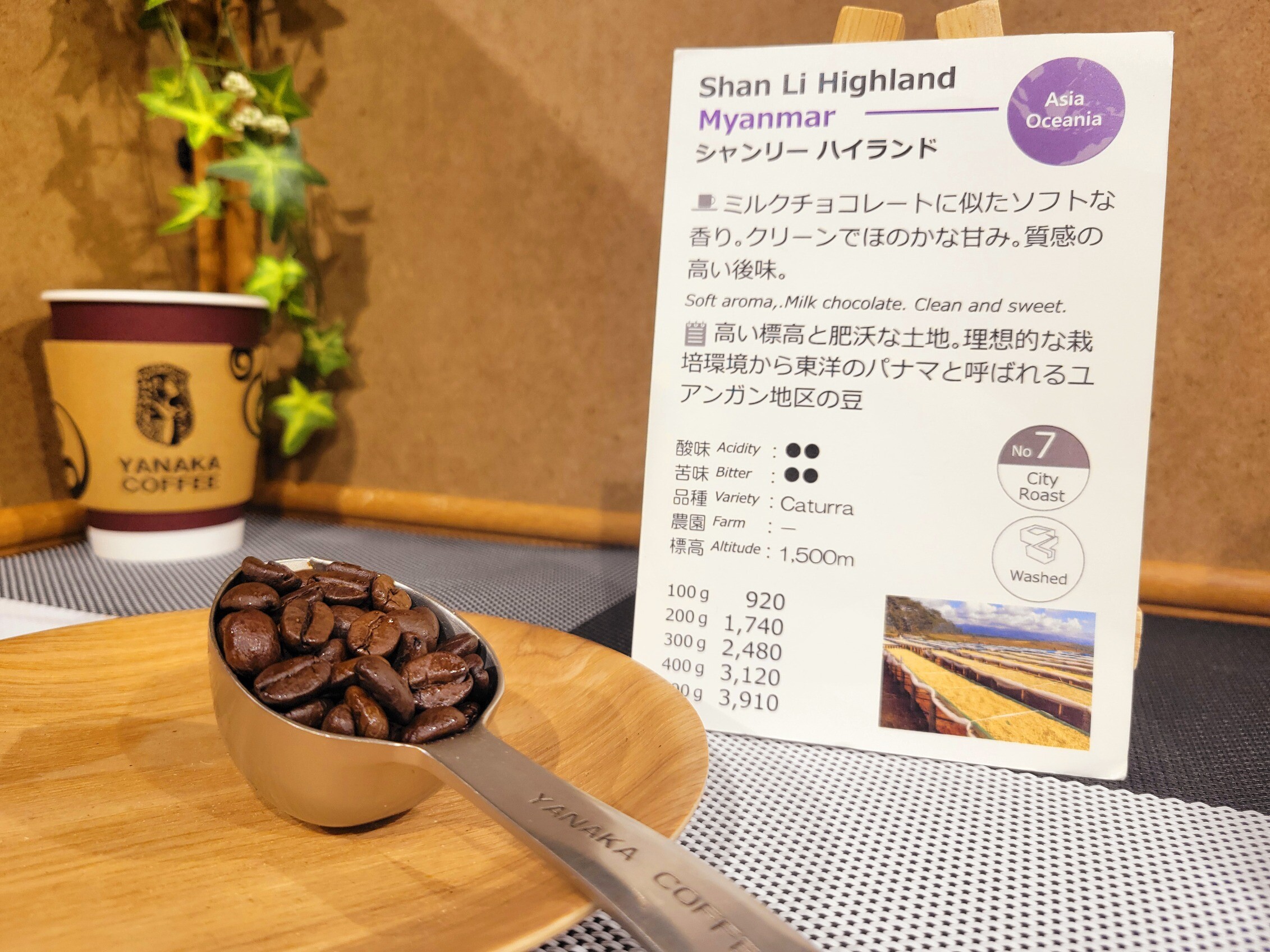 今週のおすすめ【 シャンリー ハイランド/ミャンマー】スタンプカード