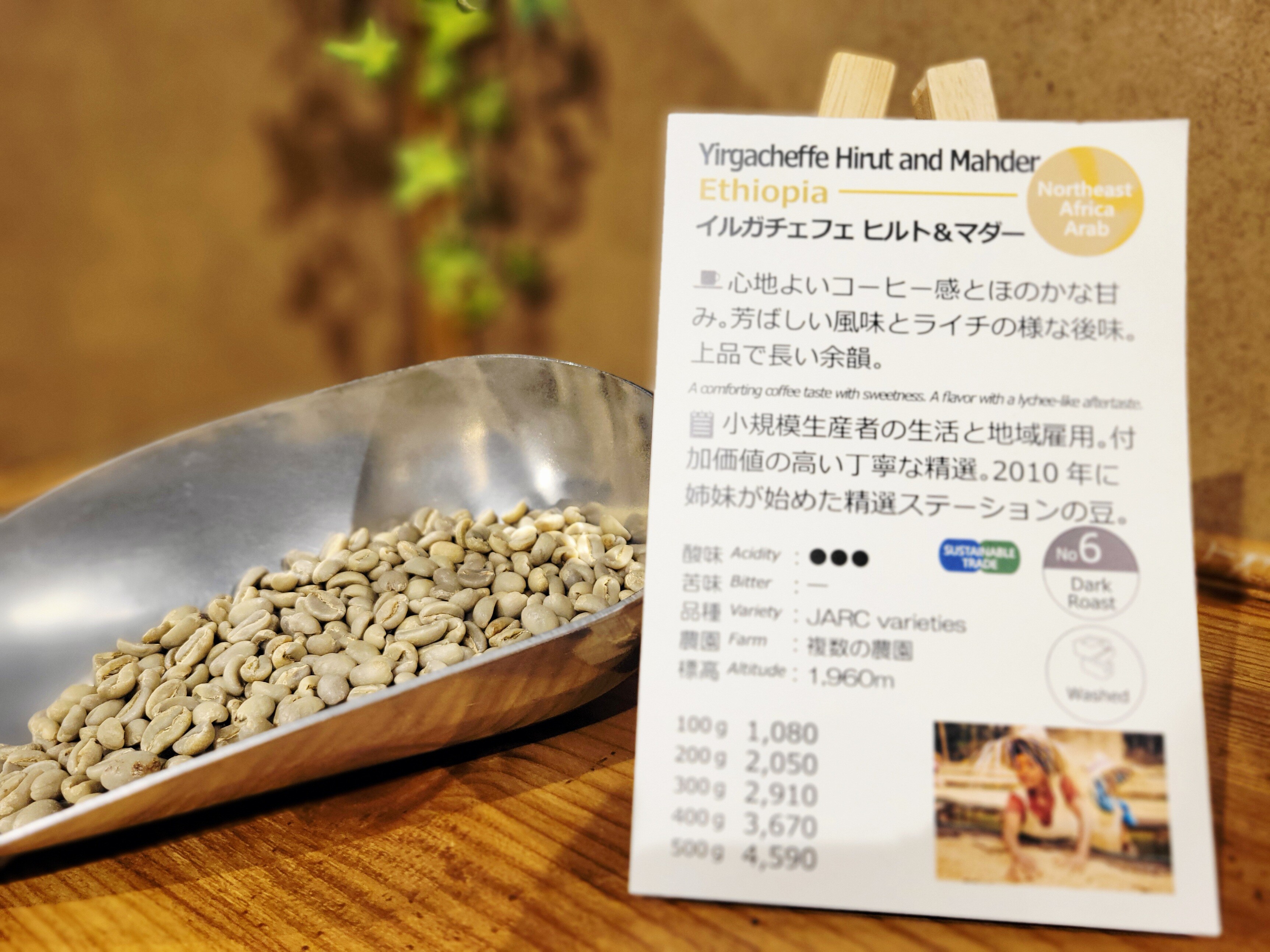 新入荷！【イルガチェフェ ヒルト&マダー/エチオピア】コーヒー生産20