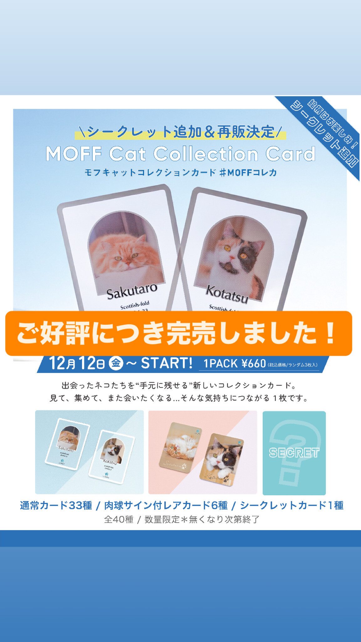 キャットカフェモフ グランベリーパーク店 トレカ コレカ 肉球レア