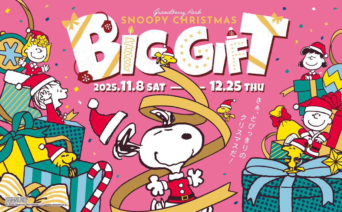 2025年クリスマス　【BIG GIFT】