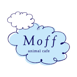 【3F 猫カフェ】こたつの嘘泣き😹