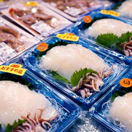 1月28日のおすすめ!『やりいか』