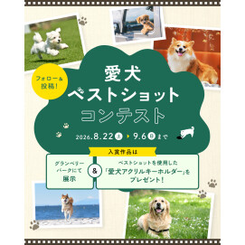 我が家の「愛犬ベストショットコンテスト」を開催！