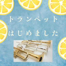 スタッフレッスンレポート🎇～トランペット編🎺～
