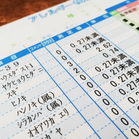 血液検査でアレルギーのチェックが可能です