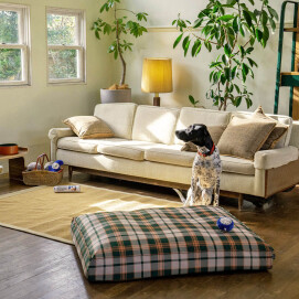 【RECOMMEND】愛犬と暮らす毎日に小さなこだりを