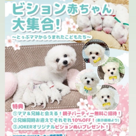 ☁️‼️ビジョン祭り開催中‼️☁️