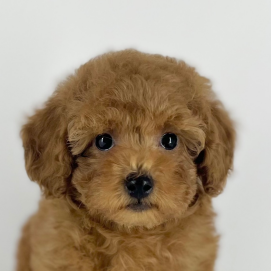 とんでもなく甘えん坊な男の子が入園しました‼️