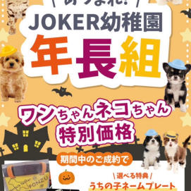 【‼️期間限定特別価格‼️】ハロウィン限定イベント🎃
