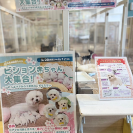 ☁️‼️ビジョン祭り開催中‼️☁️