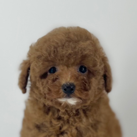 あごひげちゃん🧔🏽が入園しました💗